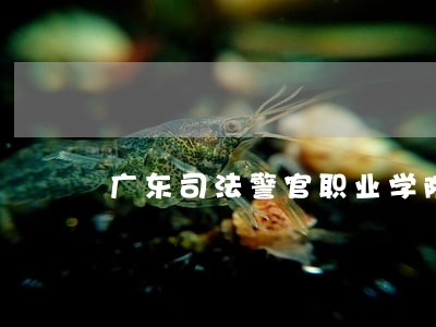广东司法警官职业学院报考代码 广东司法警官职业学院报考代码