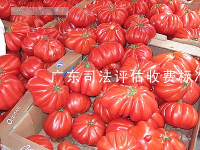 广东司法评估收费标准 广东司法评估收费标准