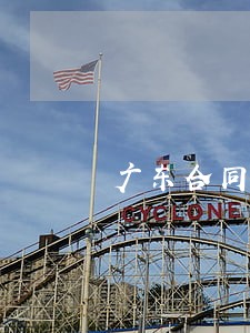 广东合同纠纷法律顾问 广东合同纠纷法律顾问