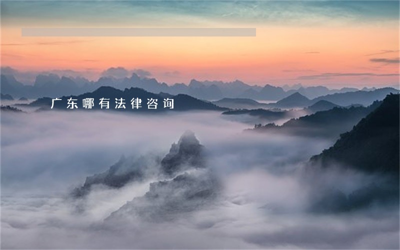 广东哪有法律咨询 广东哪有法律咨询