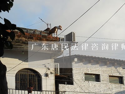 广东唐民法律咨询律师团 广东唐民法律咨询律师团