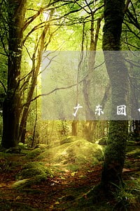 广东团体法律顾问机构 广东团体法律顾问机构