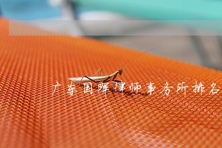 广东国晖律师事务所排名 广东国晖律师事务所排名