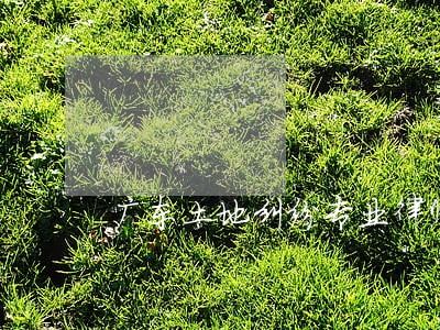 广东土地纠纷专业律师 广东土地纠纷专业律师