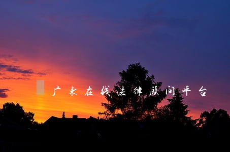 广东在线法律顾问平台 广东在线法律顾问平台