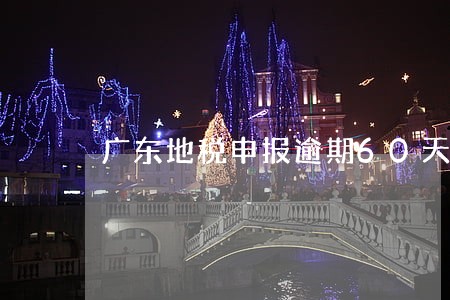 广东地税申报逾期60天怎么办 广东地税申报逾期60天怎么办