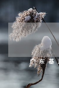 广东基层法院管辖标的 广东基层法院管辖标的