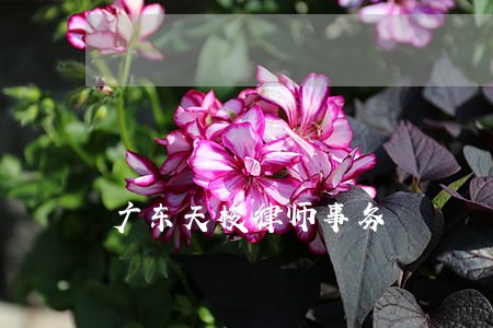 广东天梭律师事务 广东天梭律师事务