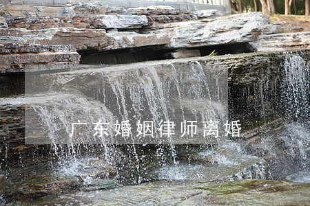 广东婚姻律师离婚