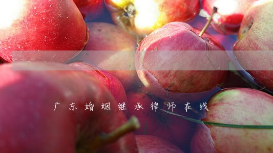 广东婚姻继承律师在线