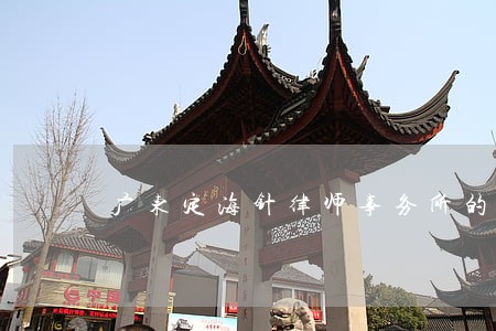 广东定海针律师事务所的联系方式