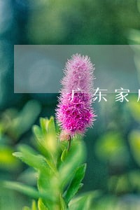 广东家庭债务律师 广东家庭债务律师