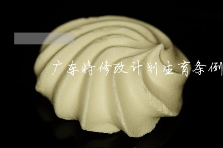 广东将修改计划生育条例 广东将修改计划生育条例