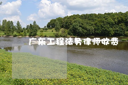 广东工程法务律师收费 广东工程法务律师收费
