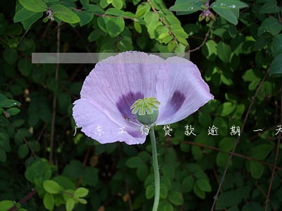 广东工行贷款逾期一天 广东工行贷款逾期一天