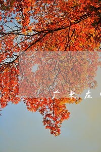 广东左宜律师事务所