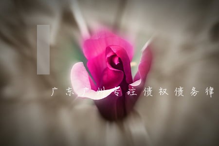广东广州专注债权债务律师 广东广州专注债权债务律师