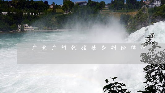 广东广州代理债务纠纷律师