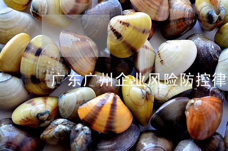 广东广州企业风险防控律师事务所 广东广州企业风险防控律师事务所
