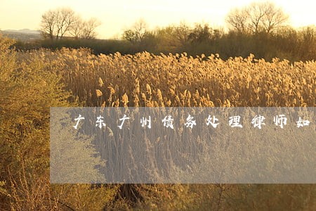 广东广州债务处理律师如何委托 广东广州债务处理律师如何委托