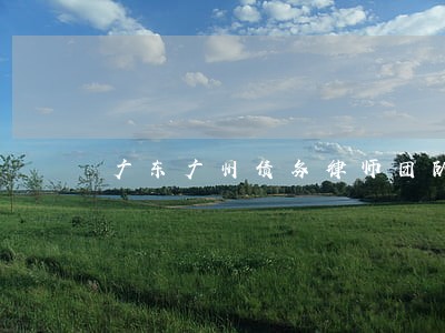 广东广州债务律师团队