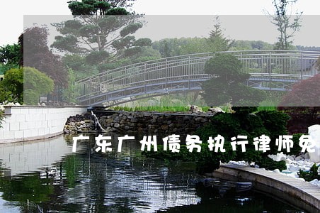 广东广州债务执行律师免费咨询 广东广州债务执行律师免费咨询