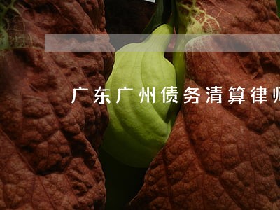 广东广州债务清算律师事务所 广东广州债务清算律师事务所