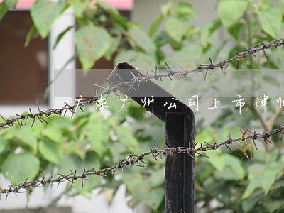 广东广州公司上市律师 广东广州公司上市律师