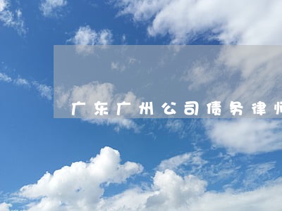 广东广州公司债务律师面谈预约 广东广州公司债务律师面谈预约
