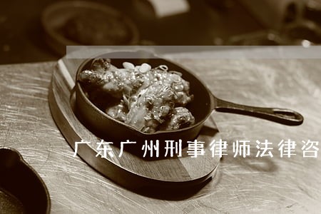 广东广州刑事律师法律咨询 广东广州刑事律师法律咨询