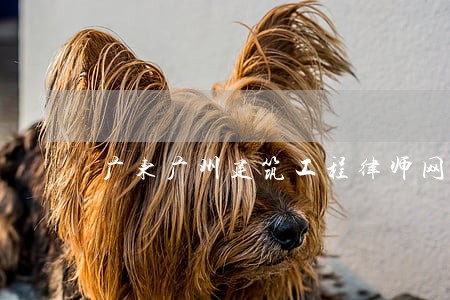 广东广州建筑工程律师网站 广东广州建筑工程律师网站