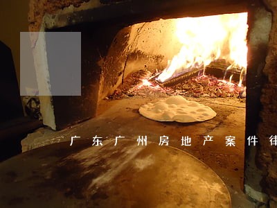 广东广州房地产案件律师预约电话 广东广州房地产案件律师预约电话