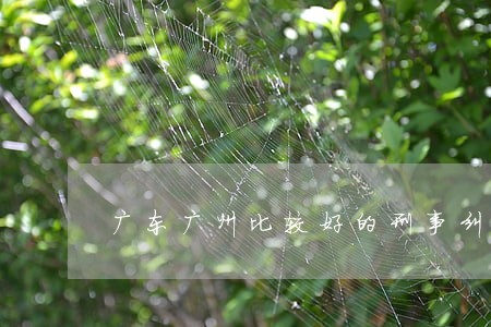 广东广州比较好的刑事纠纷律师 广东广州比较好的刑事纠纷律师