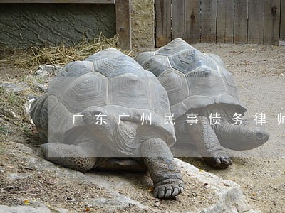 广东广州民事债务律师排行