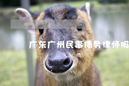 广东广州民事债务律师服务 广东广州民事债务律师服务