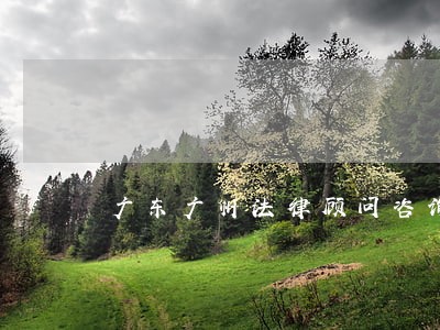 广东广州法律顾问咨询 广东广州法律顾问咨询
