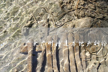 广东广州精通房地产纠纷律师 广东广州精通房地产纠纷律师