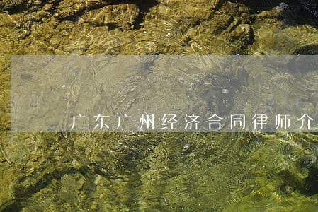 广东广州经济合同律师介绍