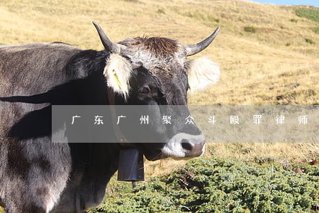 广东广州聚众斗殴罪律师收费 广东广州聚众斗殴罪律师收费