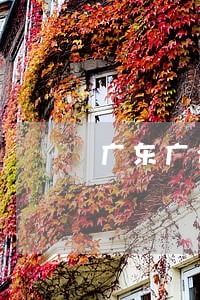广东广州荔湾房屋买卖纠纷律师 广东广州荔湾房屋买卖纠纷律师