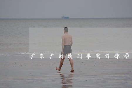 广东广州请刑事案件律师 广东广州请刑事案件律师