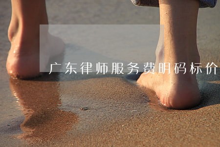 广东律师服务费明码标价 广东律师服务费明码标价