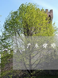广东律师系列丛书 广东律师系列丛书