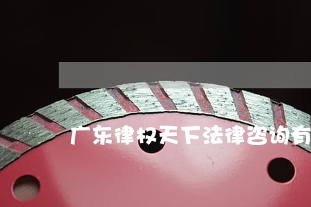 广东律权天下法律咨询有限公司
