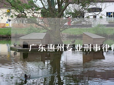 广东惠州专业刑事律师排名 广东惠州专业刑事律师排名
