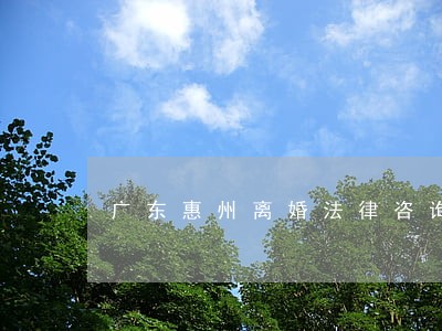 广东惠州离婚法律咨询 广东惠州离婚法律咨询