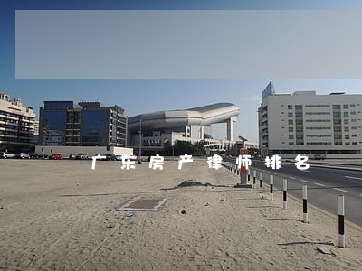 广东房产律师排名 广东房产律师排名