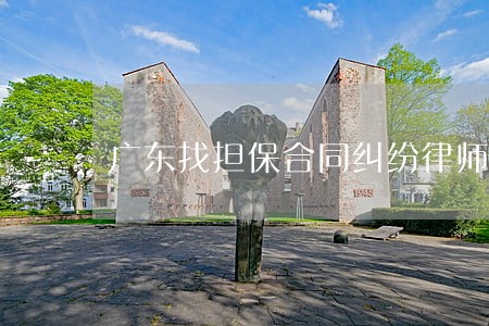 广东找担保合同纠纷律师收费标准 广东找担保合同纠纷律师收费标准