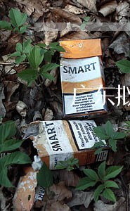 广东拟立法保护荔枝产业 广东拟立法保护荔枝产业