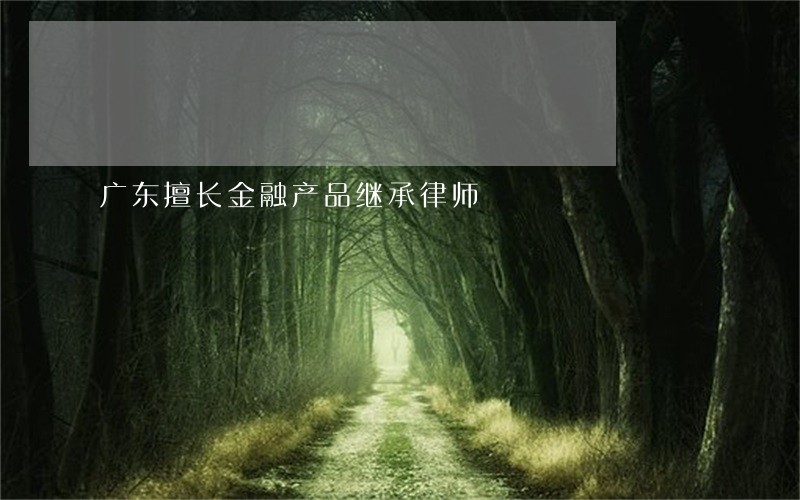 广东擅长金融产品继承律师 广东擅长金融产品继承律师